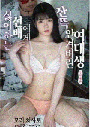 剧集雾港回声剧照